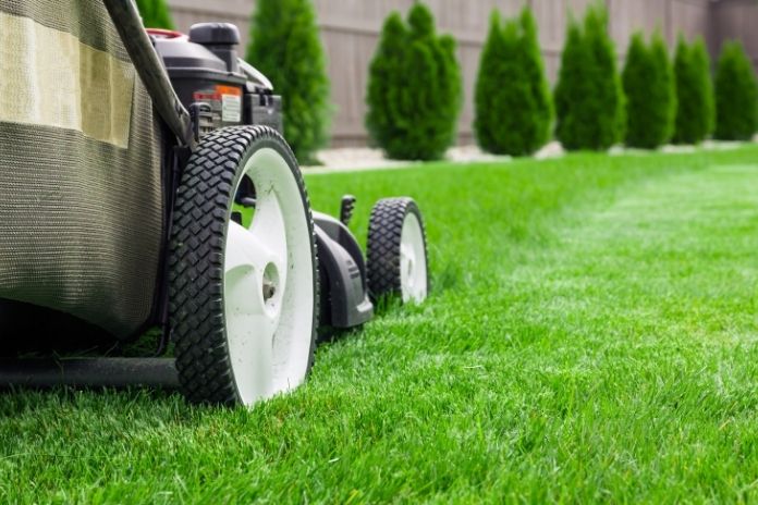 Top Checklist for Spring Cleaning Lawn Care