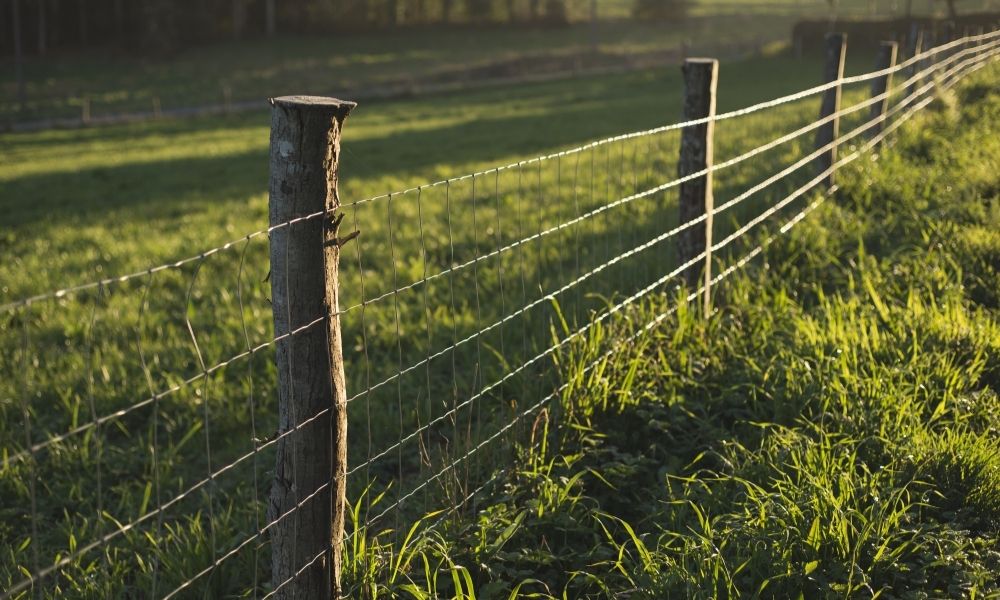 The Benefits of Having Fencing on Your Farm – Lake County Banner