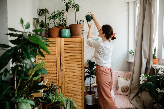 Mistakes You're Making With Your Indoor Plants