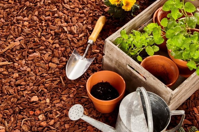 How to Help Your Garden Flourish This Spring
