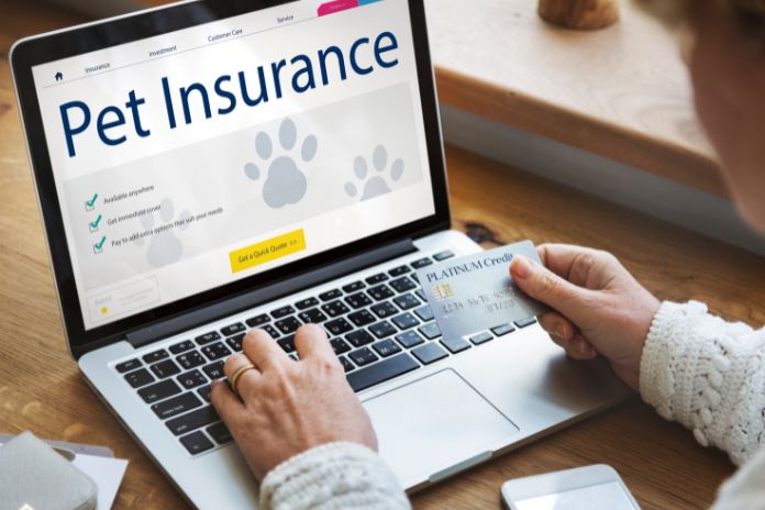 Types of Insurance You Need but Might Not Carry