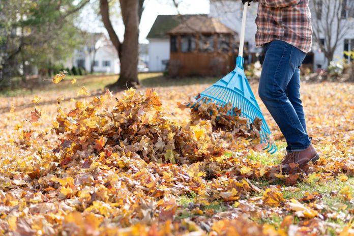 The Best Landscaping Projects To Prepare for Winter